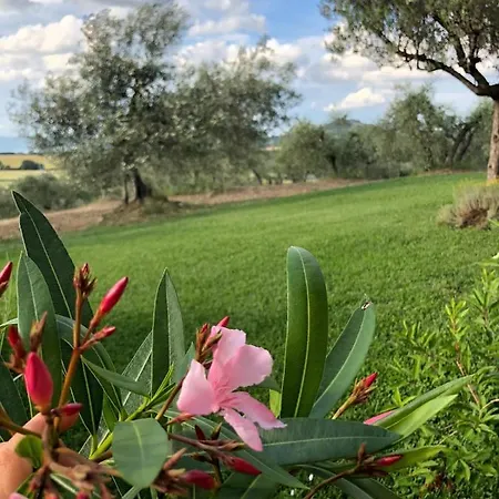 Apartamento Casolare Marconi Panicale