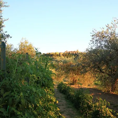 Casolare Marconi Apartamento Panicale