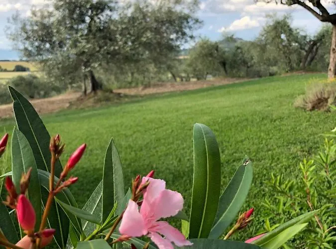 Apartamento Casolare Marconi Panicale