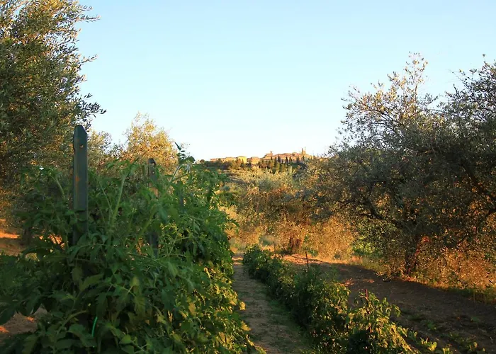 Casolare Marconi Apartamento Panicale